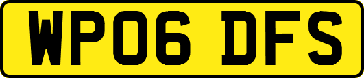 WP06DFS