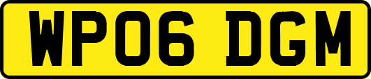 WP06DGM