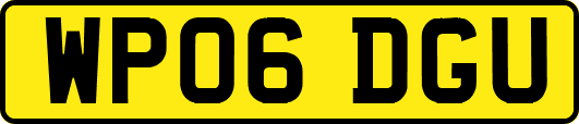 WP06DGU