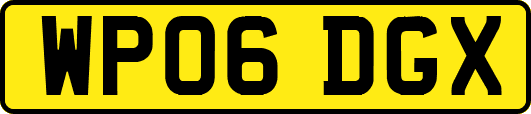 WP06DGX