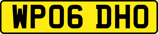 WP06DHO