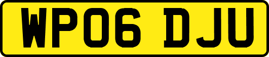 WP06DJU