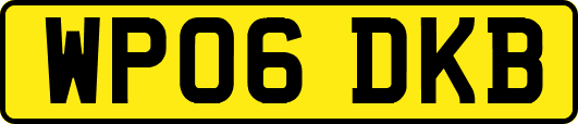 WP06DKB