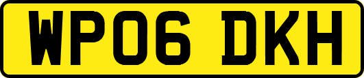 WP06DKH