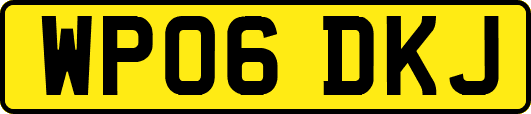 WP06DKJ