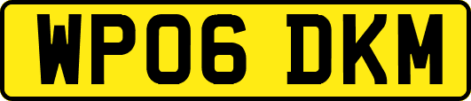 WP06DKM