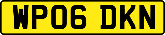 WP06DKN