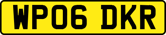 WP06DKR