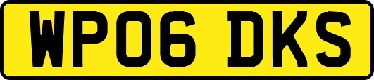 WP06DKS