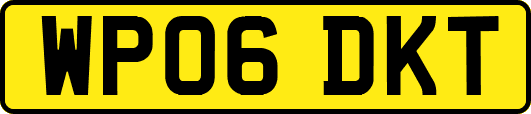 WP06DKT