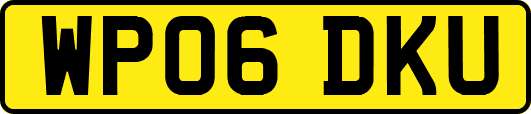 WP06DKU