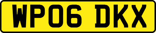 WP06DKX