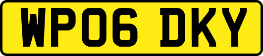 WP06DKY