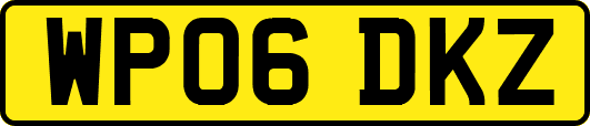WP06DKZ