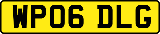 WP06DLG