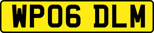 WP06DLM