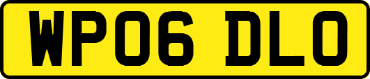 WP06DLO