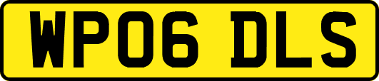 WP06DLS