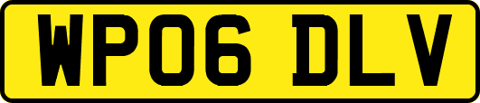 WP06DLV