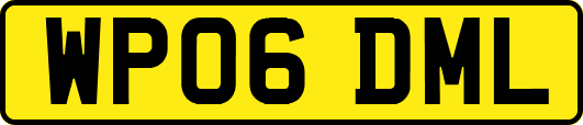 WP06DML