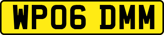 WP06DMM