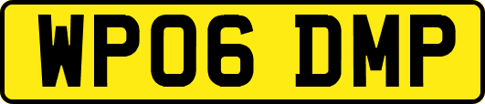 WP06DMP