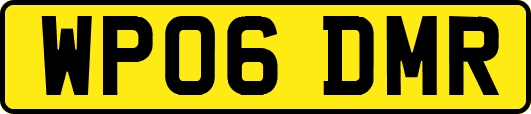 WP06DMR