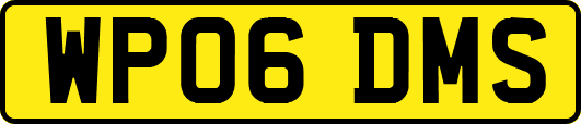 WP06DMS