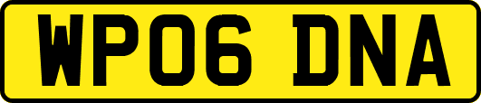 WP06DNA