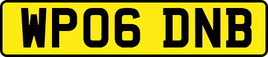 WP06DNB