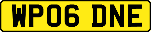 WP06DNE