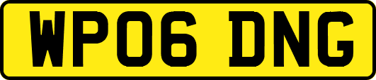 WP06DNG