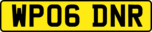 WP06DNR