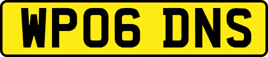 WP06DNS