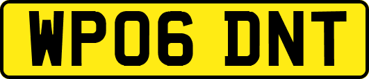 WP06DNT