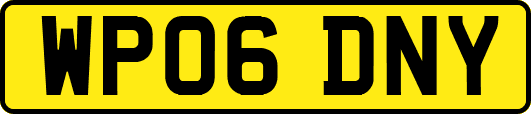 WP06DNY