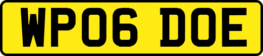WP06DOE
