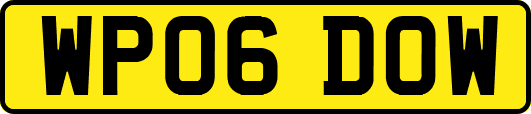 WP06DOW