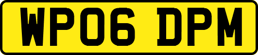 WP06DPM