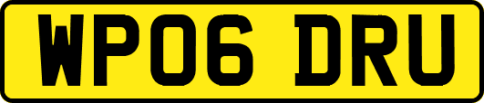 WP06DRU