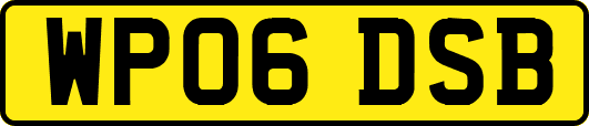 WP06DSB
