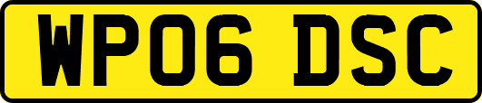 WP06DSC