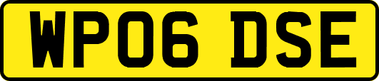 WP06DSE