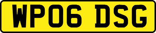 WP06DSG