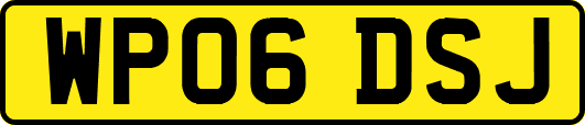 WP06DSJ