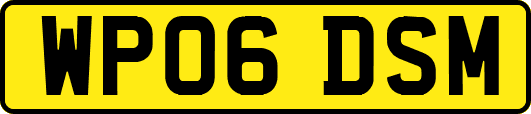 WP06DSM