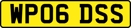 WP06DSS