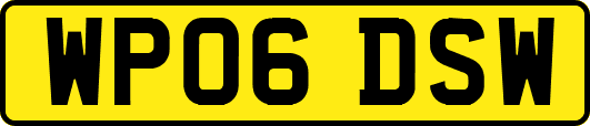 WP06DSW