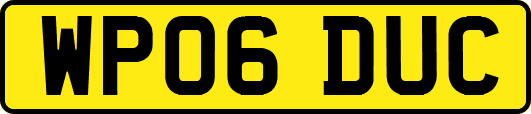 WP06DUC