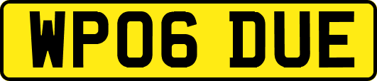 WP06DUE
